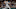 (Photo by Matthew Stockman/Getty Images) – Los Angeles Dodgers (Photo by Matthew Stockman/Getty Images) – Los Angeles Dodgers