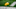 college football college football