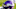 A general view of a Minnesota Vikings helmet (Photo by Timothy T Ludwig/Getty Images) A general view of a Minnesota Vikings helmet (Photo by Timothy T Ludwig/Getty Images)