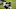 dallas cowboys dallas cowboys