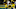 Notre Dame football TE Tommy Tremble