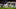 Leicester City