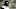 Jacksonville Jaguars Jacksonville Jaguars