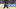nhl fantasy hockey