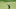 BLAINE, MINNESOTA – JULY 07: Collin Morikawa of the United States plays a shot on the seventh hole during the final round of the 3M Open at TPC Twin Cities on July 07, 2019 in Blaine, Minnesota. (Photo by Sam Greenwood/Getty Images) BLAINE, MINNESOTA – JULY 07: Collin Morikawa of the United States plays a shot on the seventh hole during the final round of the 3M Open at TPC Twin Cities on July 07, 2019 in Blaine, Minnesota. (Photo by Sam Greenwood/Getty Images)