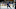 Toronto Maple Leafs Toronto Maple Leafs