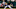 Oakland Athletics