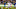 MLS: Vancouver Whitecaps FC at Seattle Sounders FC