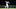 mariners
