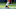 Cleveland Browns