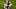 Alabama football Alabama football