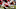 The Ohio State Football team will have a much-improved defense. Mandatory Credit: Adam Cairns-The Columbus DispatchNcaa Football Indiana Hoosiers At Ohio State Buckeyes