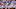 Chicago Cubs, Andre Dawson Chicago Cubs, Andre Dawson
