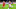 14 March 2019, Bavaria, München: Soccer: Champions League, knockout round, round of sixteen, second leg: FC Bayern Munich – FC Liverpool in the Allianz Arena. Sadio Mane (M) of Liverpool plays the ball, Rafinha (l) and Thiago of Bavaria defend. Bavaria loses the game 1:3. Photo: Tobias Hase/dpa (Photo by Tobias Hase/picture alliance via Getty Images) 14 March 2019, Bavaria, München: Soccer: Champions League, knockout round, round of sixteen, second leg: FC Bayern Munich – FC Liverpool in the Allianz Arena. Sadio Mane (M) of Liverpool plays the ball, Rafinha (l) and Thiago of Bavaria defend. Bavaria loses the game 1:3. Photo: Tobias Hase/dpa (Photo by Tobias Hase/picture alliance via Getty Images)