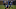Duke football Duke football