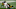 Pittsburgh Steelers, Washington Football Team, Alex Smith Pittsburgh Steelers, Washington Football Team, Alex Smith