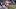 Illinois football