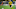 Borussia Dortmund forward Marco Reus Borussia Dortmund forward Marco Reus