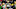 Green Bay Packers (Photo by Gregory Shamus/Getty Images) Green Bay Packers (Photo by Gregory Shamus/Getty Images)