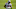 New England Patriots New England Patriots