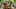 Cirie Fields Survivor Game Changers Cirie Fields Survivor Game Changers