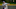 (Max Faulkner/Fort Worth Star-Telegram/TNS via Getty Images) (Max Faulkner/Fort Worth Star-Telegram/TNS via Getty Images)