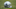 Jul 21, 2013; Oxnard, CA, USA; General view of a Dallas Cowboys helmet at training camp at the River Ridge Fields. Mandatory Credit: Kirby Lee-USA TODAY Sports Jul 21, 2013; Oxnard, CA, USA; General view of a Dallas Cowboys helmet at training camp at the River Ridge Fields. Mandatory Credit: Kirby Lee-USA TODAY Sports