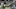 Chicago Bears, Matt Nagy Chicago Bears, Matt Nagy