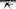Boston Bruins Boston Bruins