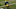 ASHWAUBENON, WISCONSIN – AUGUST 19: Adrian Amos #31 of the Green Bay Packers participates in a drill during Green Bay Packers Training Camp at Ray Nitschke Field on August 19, 2020 in Ashwaubenon, Wisconsin. (Photo by Dylan Buell/Getty Images) ASHWAUBENON, WISCONSIN – AUGUST 19: Adrian Amos #31 of the Green Bay Packers participates in a drill during Green Bay Packers Training Camp at Ray Nitschke Field on August 19, 2020 in Ashwaubenon, Wisconsin. (Photo by Dylan Buell/Getty Images)