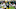 Green Bay Packers