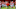 Clemson football