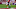 Chicago Bears, Gratn Calcaterra Chicago Bears, Gratn Calcaterra