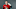 Brady Tkachuk (7) Brady Tkachuk (7)