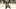 Montreal Canadiens, Sidney Crosby Montreal Canadiens, Sidney Crosby