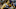 CHARLOTTE, NC – MARCH 18: TJ Starks CHARLOTTE, NC – MARCH 18: TJ Starks