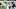 ARLINGTON, TEXAS – DECEMBER 27: Dallas Cowboys QB Andy Dalton (Photo by Ronald Martinez/Getty Images) ARLINGTON, TEXAS – DECEMBER 27: Dallas Cowboys QB Andy Dalton (Photo by Ronald Martinez/Getty Images)