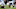kentucky football kentucky football