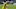 Raphael Guerreiro (Photo by Dennis Bresser/Soccrates/Getty Images) Raphael Guerreiro (Photo by Dennis Bresser/Soccrates/Getty Images)