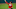 Josh Tomlin Josh Tomlin