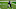 Chicago Bears, Russell Wilson