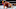 WWE, Drew Gulak WWE, Drew Gulak