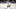 Toronto Maple Leafs