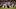 (Photo by Scott Taetsch/Getty Images) – New Orleans Saints (Photo by Scott Taetsch/Getty Images) – New Orleans Saints
