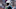 D.J. Moore, Carolina Panthers D.J. Moore, Carolina Panthers