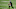 Chicago Bears, Matt Ryan Chicago Bears, Matt Ryan
