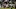 SAN DIEGO, CA – OCTOBER 12: Wide receiver Keenan Allen