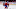 New Jersey Devils New Jersey Devils