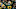 Green Bay Packers