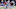 New England Patriots New England Patriots